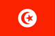 突尼斯 Flag